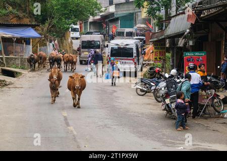 Cau Street Scene, Vietnam. Provinz Lao Cai. Stockfoto
