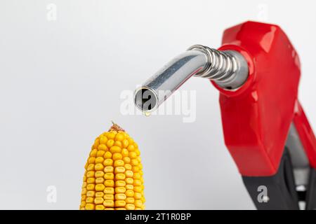 Ethanol-Benzin tropft aus der Kraftstoffdüse mit Maisohr. Biokraftstoff, erneuerbare Energien und Agrarkonzept. Stockfoto