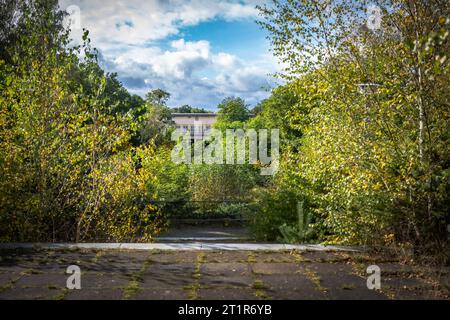 Wandlitz OT Lanke im Bundesland Brandenburg Gebäudekomplex am Bogensee im Barnim ehemalige NS-Reichspropagandaschule, zu DDR Zeiten FDJ-Hochschule Wilhelm Pieck. - 15.10.2023 Brandenburg *** Wandlitz OT Lanke in der brandenburgischen Bauanlage am Bogensee in der Barnim ehemaligen NS-Reichspropagandaschule, zu DDR-Zeiten FDJ Hochschule Wilhelm Pieck 15 10 2023 Brandenburg Stockfoto