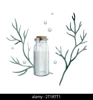 Set aus Glasgefäß, Vase mit Holzstopfen, Deckel. Meeresalgen, Korallen. Aquarell Hand gezeichnetes Clipart isoliert auf weißem Hintergrund. Satz Becher Stockfoto