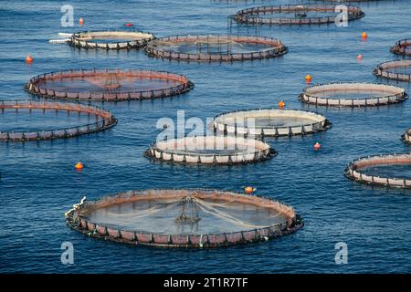 Käfige für den Fischzuchtbetrieb. Schwimmender Bau einer offenen Fischzucht im Mittelmeer. Nahaufnahme. Stockfoto