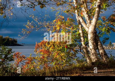 Herbstlaub auf Silver Islet, Ontario, am Lake Superior Stockfoto