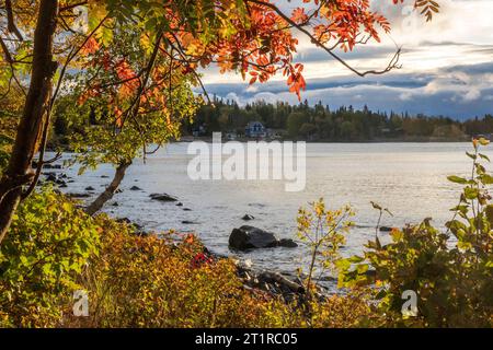 Herbstlaub auf Silver Islet, Ontario, am Lake Superior Stockfoto