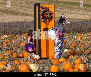 Kilduff Farm, East Lothian, Schottland, Großbritannien, 15. Oktober 2023. Kürbis Patch Festival: Das beliebte Kürbis Patch wird an diesem Wochenende eröffnet, wo Besucher die kulinarischen Kürbisse und Halloween bei sonnigem Wetter genießen. Im Bild: Eine schrullige orange lackierte Tür im Feld unterhält Mutter und Kind. Quelle: Sally Anderson/Alamy Live News Stockfoto