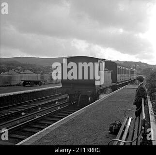 Dampflokomotiven auf der Isle of White vom 11. Oktober 1966 Stockfoto