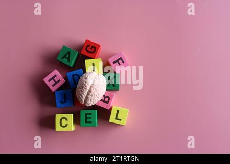 Menschliches Gehirn umgeben von Alphabetblöcken auf rosa Hintergrund mit Kopierraum. Montessori-Bildungs- und Alphabetisierungskonzept. Stockfoto