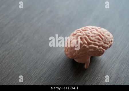 Nahaufnahme des menschlichen Hirnmodells. Das Gehirn ist glatt und grau, mit den verschiedenen Lappen und Gyri deutlich sichtbar. Medizin- und Gesundheitskonzept. Stockfoto