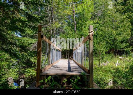 Eine kleine Fußgängerbrücke in einem wald. Überall grüne Bäume, sonniger Tag. Stockfoto