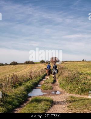 Reiten auf dem South Downs Way Stockfoto