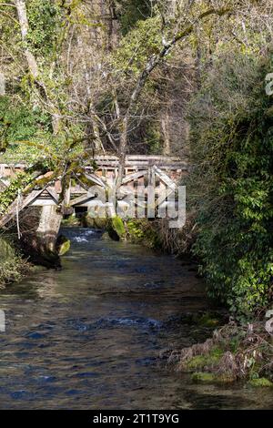 Blautopfsee in Blaubeuren mit Nebenfluss und alter Holzbrücke Stockfoto