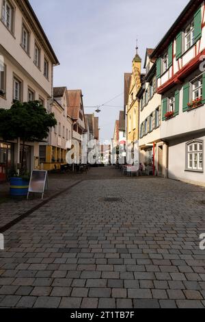 Historische Altstadt von Riedlingen, Baden-Württemberg, im Sommer mit Storchennest Stockfoto