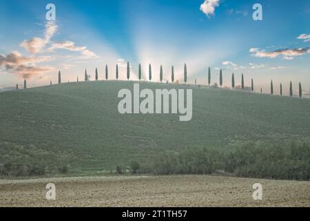 Die Crete Senesi Landschaft in der Toskana, Italien Stockfoto