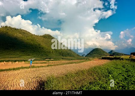 Ein Junge und sein Drachen auf den Reisfeldern, Tam Son, Ha Giang, Vietnam Stockfoto