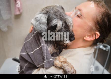 Die Frau wickelte den Hund in ein Handtuch, um die Wolle nach dem Waschen zu trocknen Stockfoto