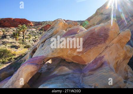 Felsvorsprung im Gold Butte National Monument, Nevada, USA. Stockfoto
