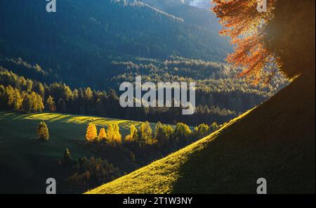 Sonniger Tag im Dorf Ssnta Magdalena. Malerische und wunderschöne Szene. Lage berühmter Place Funes Valley, Dolomiti Alps. Provinz Bozen - Süd T Stockfoto