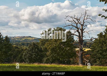 Ausblicke und malerische Ausblicke auf die Landschaft von gloucester und ländliche Städte, Dörfer, Wälder und Hügel bei Wanderungen auf dem Cotswolds Way, einer von sechzehn Stockfoto