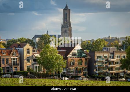 Turm von St. Eusebius Kirche in Arnheim an einem bewölkten Herbsttag aus dem Sonsbeek Park Stockfoto