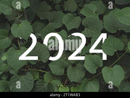 Weißer Text für das Neujahr 2024, versteckt in der Wand mit natürlichen grünen Blättern. Stockfoto