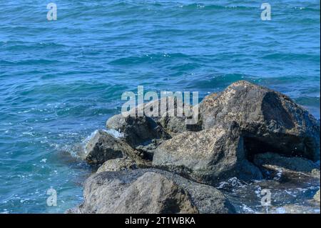 Steine im Meer in der Nähe des Strandes Stockfoto