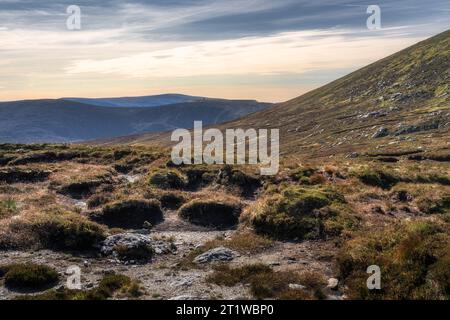 Turlough Hill mit künstlichem Reservoir, See für Wasserkraftwerke vom Tonelagee Mountain aus gesehen. Wandern in den Wicklow Mountains, Irland Stockfoto