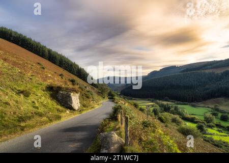 Enge, kurvige Straße führt durch ein wunderschönes Bergtal mit Wäldern und Bauernhöfen an den Seiten der Wicklow Mountains bei Sonnenuntergang, Irland Stockfoto