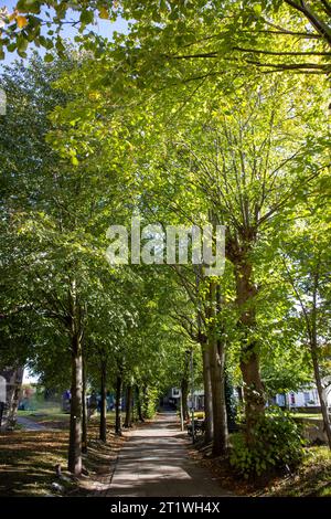 Waltham Abbey in Hertfordshire, Großbritannien Stockfoto