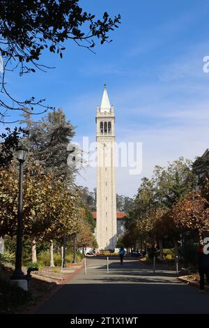 Der Campanile von UC Berkeley (Sather Tower). Stockfoto