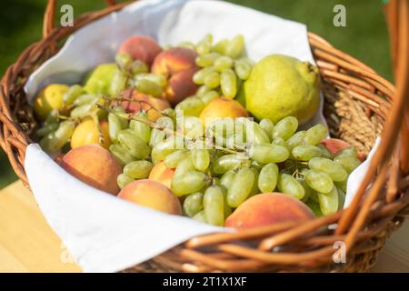 Trauben und Äpfel im Korb. Früchte im Herbst. Ernte im Garten. Korb aus Weidenobst. Stockfoto