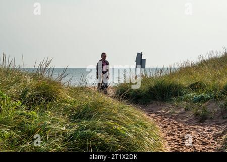 Man Walking Dog Panmure Island Provincial Park   Panmure Island, Prince Edward Island, CAN Stockfoto