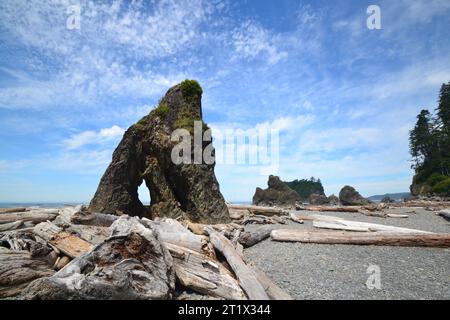 Ruby Beach auf der Olympic Peninsula, Washington Coast. Stockfoto