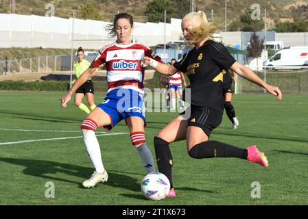 Granada, Granada, Spanien. Oktober 2023. Sofie Svava von Real Madrid CF Pass den Ball vor Lauri Requena von Granada CF während des Liga-F-Spiels zwischen Granada CF und Real Madrid CF am 14. Oktober 2023 in Granada, Spanien. (Kreditbild: © José M Baldomero/Pacific Press via ZUMA Press Wire) NUR REDAKTIONELLE VERWENDUNG! Nicht für kommerzielle ZWECKE! Stockfoto