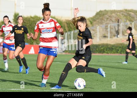 Granada, Granada, Spanien. Oktober 2023. Olga Carmona von Real Madrid CF Pass den Ball vor Inés Faddi von Granada CF während des Liga-F-Spiels zwischen Granada CF und Real Madrid CF in Ciudad Deportiva del Granada CF am 14. Oktober 2023 in Granada, Spanien. (Kreditbild: © José M Baldomero/Pacific Press via ZUMA Press Wire) NUR REDAKTIONELLE VERWENDUNG! Nicht für kommerzielle ZWECKE! Stockfoto