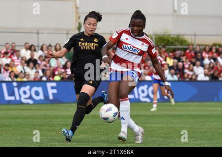 Granada, Granada, Spanien. Oktober 2023. Edna Imade of Granada CF folgte Ivana Andrés von Rel Madrid CF während des Liga-F-Spiels zwischen Granada CF und Real Madrid CF bei Ciudad Deportiva del Granada CF am 14. Oktober 2023 in Granada, Spanien. (Kreditbild: © José M Baldomero/Pacific Press via ZUMA Press Wire) NUR REDAKTIONELLE VERWENDUNG! Nicht für kommerzielle ZWECKE! Stockfoto