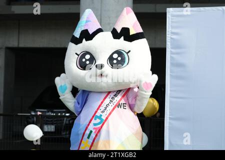 Kawasaki Todoroki Stadium, Kanagawa, Japan. Oktober 2022, 14. OKTOBER 2022 - Fußball/Fußball : 2023-24 WE League Cup Endspiel im Kawasaki Todoroki Stadium, Kanagawa, Japan. Quelle: AFLO SPORT/Alamy Live News Stockfoto