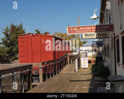 Szenen einer historischen Austernverarbeitungsanlage mit zwei Ventilen in New Jersey an der Küste von Delaware Bay. Stockfoto