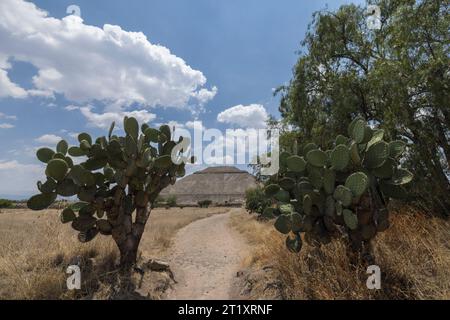 Piramides de Teotihuacan, Ciudad de México Stockfoto