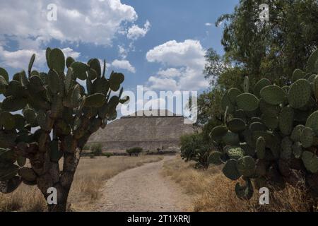 Piramides de Teotihuacan, Ciudad de México Stockfoto