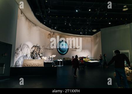 DRUMHELLER, ALBERTA - Mai, 2022 -Triceratops Vorbereitung, sich zu verteidigen, Royal Tyrrell Museum. Hochwertige Fotos Stockfoto