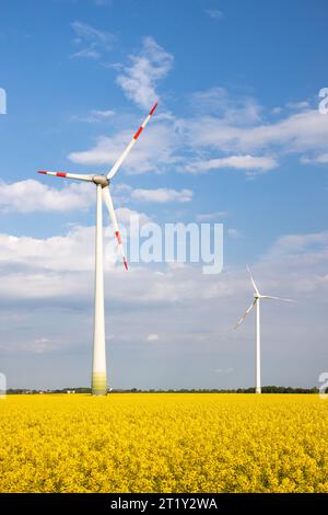 Windräder Gelbes Rapsfeld Stockfoto