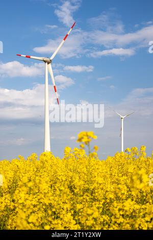 Windräder Gelbes Rapsfeld Stockfoto