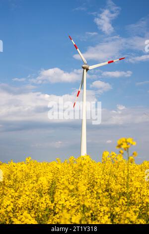 Windräder Gelbes Rapsfeld Stockfoto