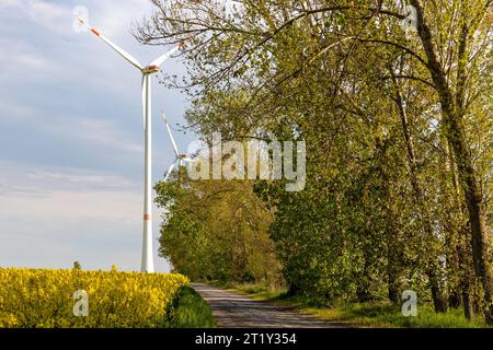 Windräder Gelbes Rapsfeld Stockfoto