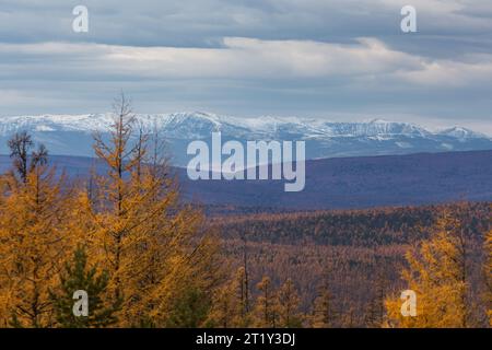 Düstere Herbstlandschaft mit schneebedeckten Bergen in Süd-Jakutien, Russland Stockfoto