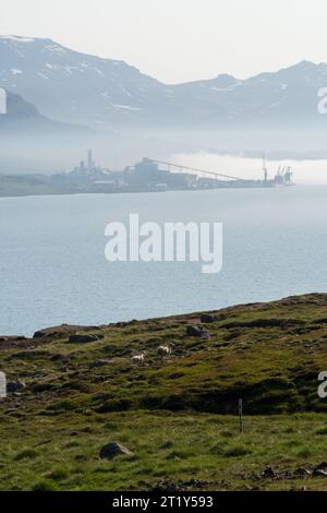 Die berühmte Route 1 oder die Ringstraße in Island Stockfoto