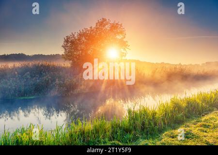 Fantastische Foggy River mit frischem grünem Gras in der Sonne. Sonnenstrahlen durch Baum. Dramatische bunte Landschaft. Seret Fluss, Ternopil. Ukraine, Europ. Stockfoto