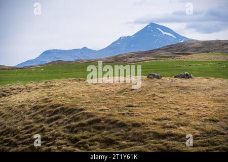Die berühmte Route 1 oder die Ringstraße in Island Stockfoto