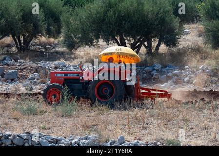 Malia, Kreta, Griechenland, Europa. 27.09.2023. Landwirt, der einen roten Traktor mit einer Unbrella fährt, um die Sonne zu beschatten, während er ein kleines Ackerland bepflügt Stockfoto