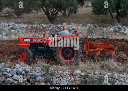 Malia, Kreta, Griechenland, Europa. 27.09.2023. Landwirt, der einen roten Traktor fährt, um ein kleines Ackerland in einem steinigen Gebiet zu pflügen. Stockfoto