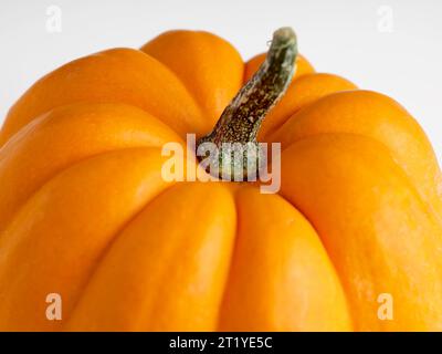 Makronahtansicht eines orangefarbenen, rohen Herbstkürbis. Stockfoto